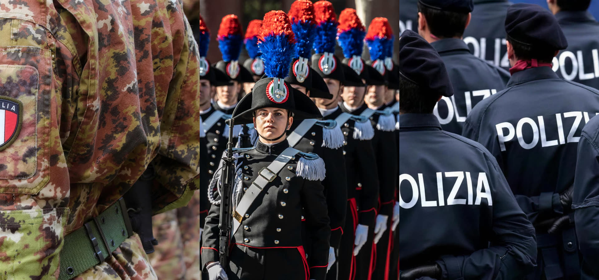 The crests of the three forces.
